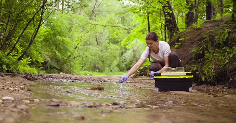 Best Colleges for Environmental Science Majors