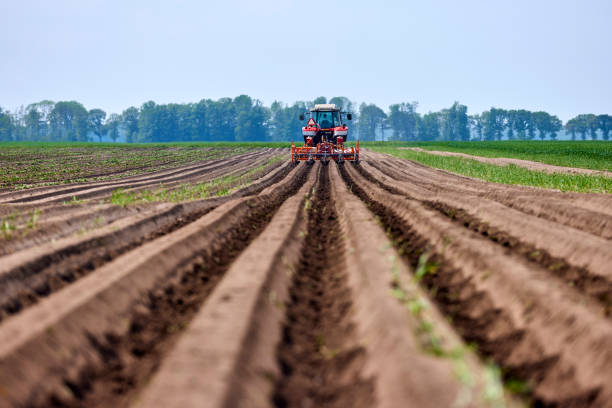 Best Online Courses for Sustainable Agriculture