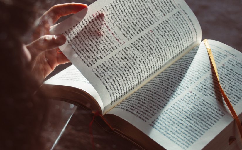 Paralegal Studies for Beginners: What to Expect