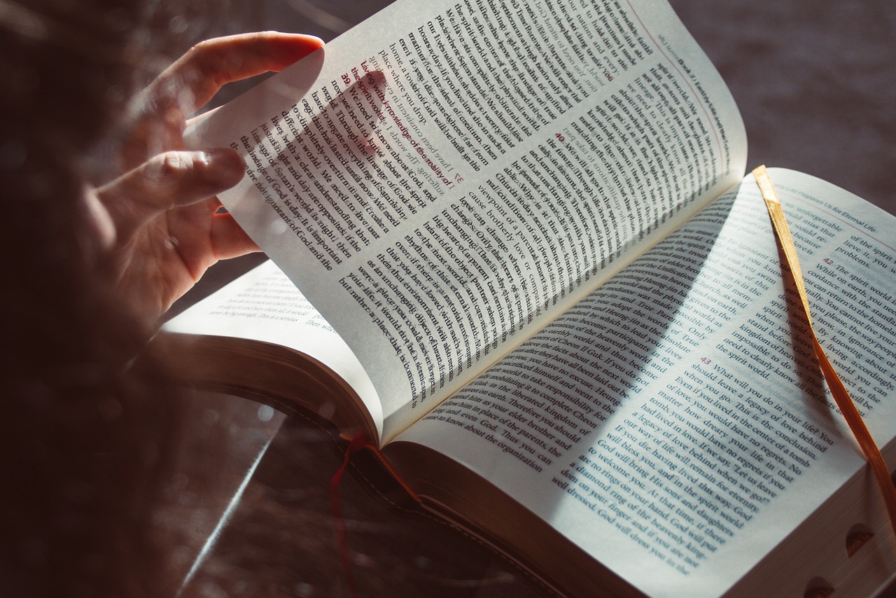 Paralegal Studies for Beginners