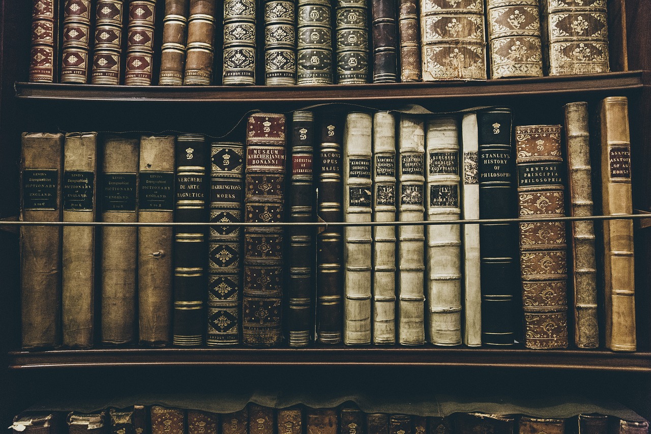 Best Colleges for History Majors