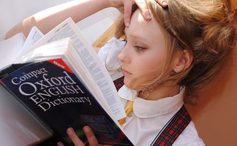 How to Choose a College with a Strong Study Abroad Program